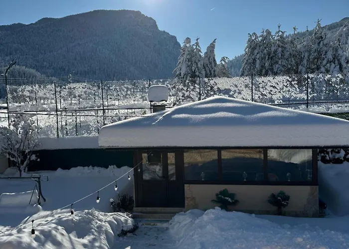 еднофамилна дървена къщичка